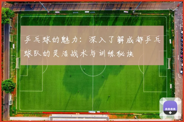 乒乓球的魅力:深入了解成都乒乓球队的灵活战术与训练秘诀