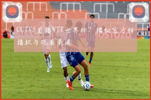 CCTV5直播WTT世界杯？揭秘官方转播权与观看渠道