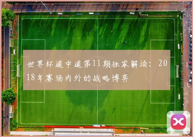 世界杯道中道第11期独家解读：2018年赛场内外的战略博弈