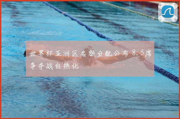 世界杯亚洲区名额分配公布 8.5席争夺战白热化