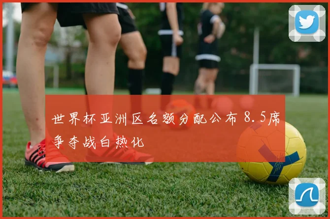 世界杯亚洲区名额分配公布 8.5席争夺战白热化