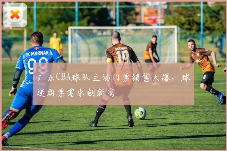 广东CBA球队主场门票销售火爆，球迷购票需求创新高