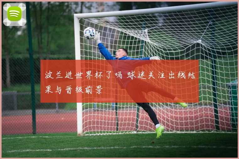 波兰进世界杯了吗 球迷关注出线结果与晋级前景