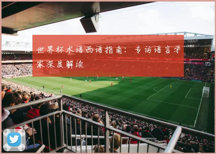 世界杯术语西语指南：专访语言学家深度解读