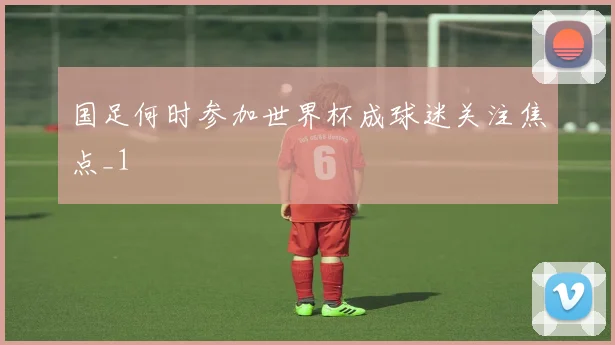 国足何时参加世界杯成球迷关注焦点_1