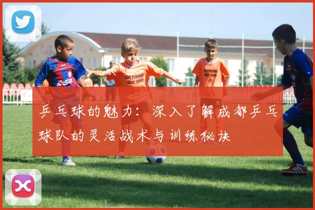 乒乓球的魅力:深入了解成都乒乓球队的灵活战术与训练秘诀
