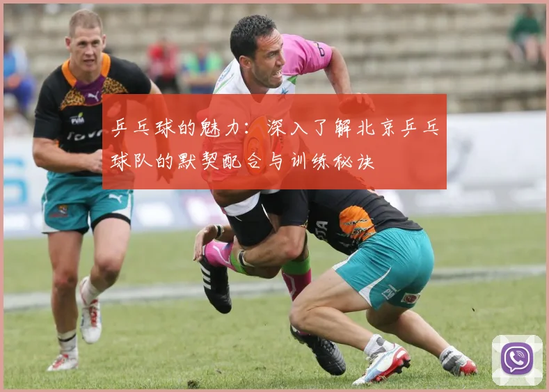 乒乓球的魅力：深入了解北京乒乓球队的默契配合与训练秘诀
