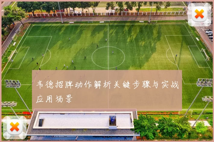 韦德招牌动作解析关键步骤与实战应用场景