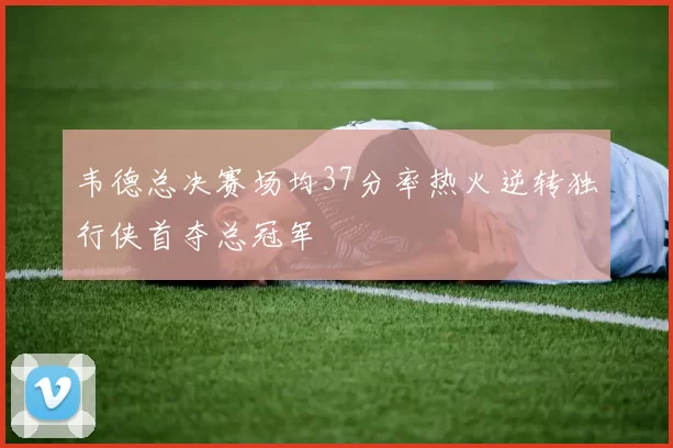 韦德总决赛场均37分率热火逆转独行侠首夺总冠军