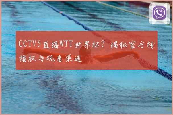 CCTV5直播WTT世界杯？揭秘官方转播权与观看渠道